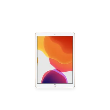 10.2" iPad 7th Gen (WiFi + Cellular) / 128GB / MW6G2B/A