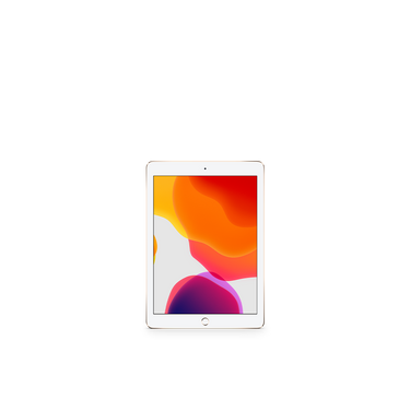 7.9" iPad Mini 5 Retina (WiFi + Cellular) / 256GB / MUXP2LL/A