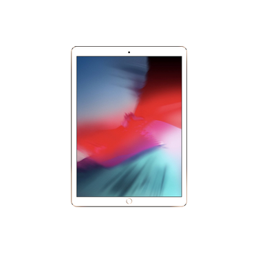 12.9" iPad Pro 2nd Gen (WiFi + Cellular) / 256GB / MPA62LL/A