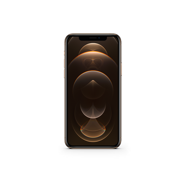 Apple iPhone 12 Pro Max (256GB) MGAM3LL/A - Specifications