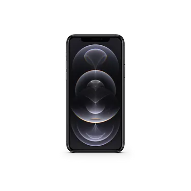 iPhone 12 Pro Max (256GB) / MGCK3LL/A